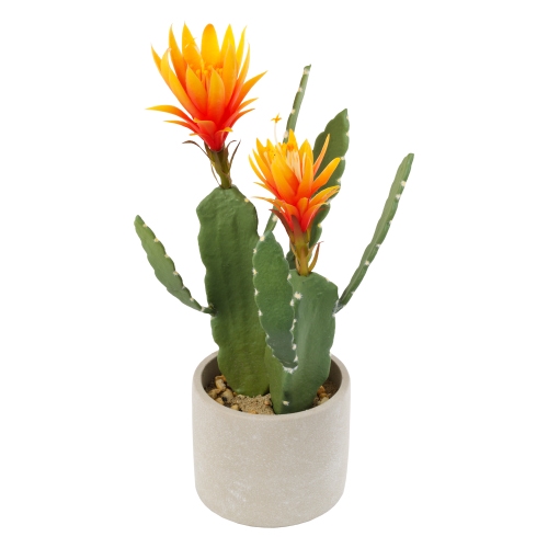 Maceta Cactus Diseño 39xDiámetro 12 cm