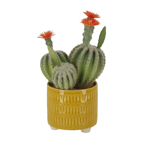 Maceta Cerámica Cactus Diseño Diámetro 10,5x25 cm