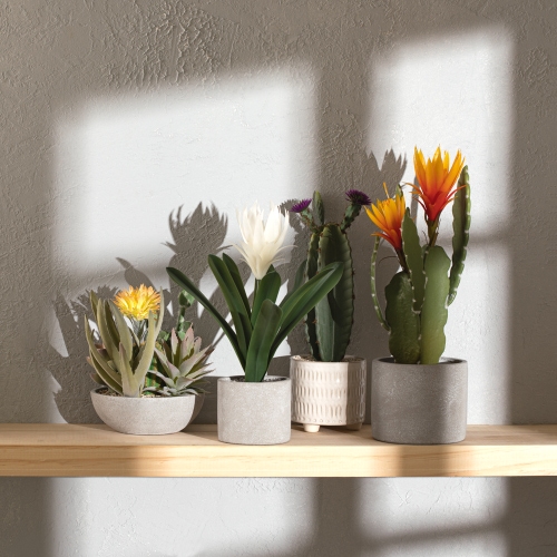 Maceta de cerámica con cactus 25x11 cm