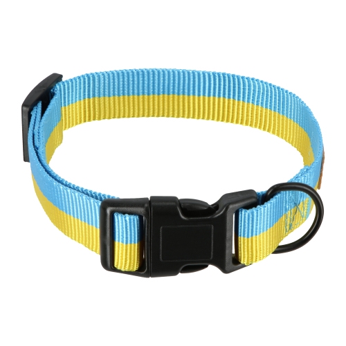 Collar cinta ajustable para perro